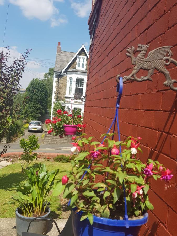 Ty Castell Guest House แคร์ฟิลลี ภายนอก รูปภาพ